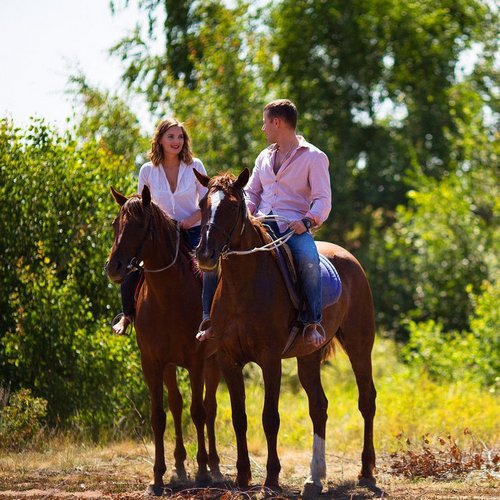 зображення всесвіт коней